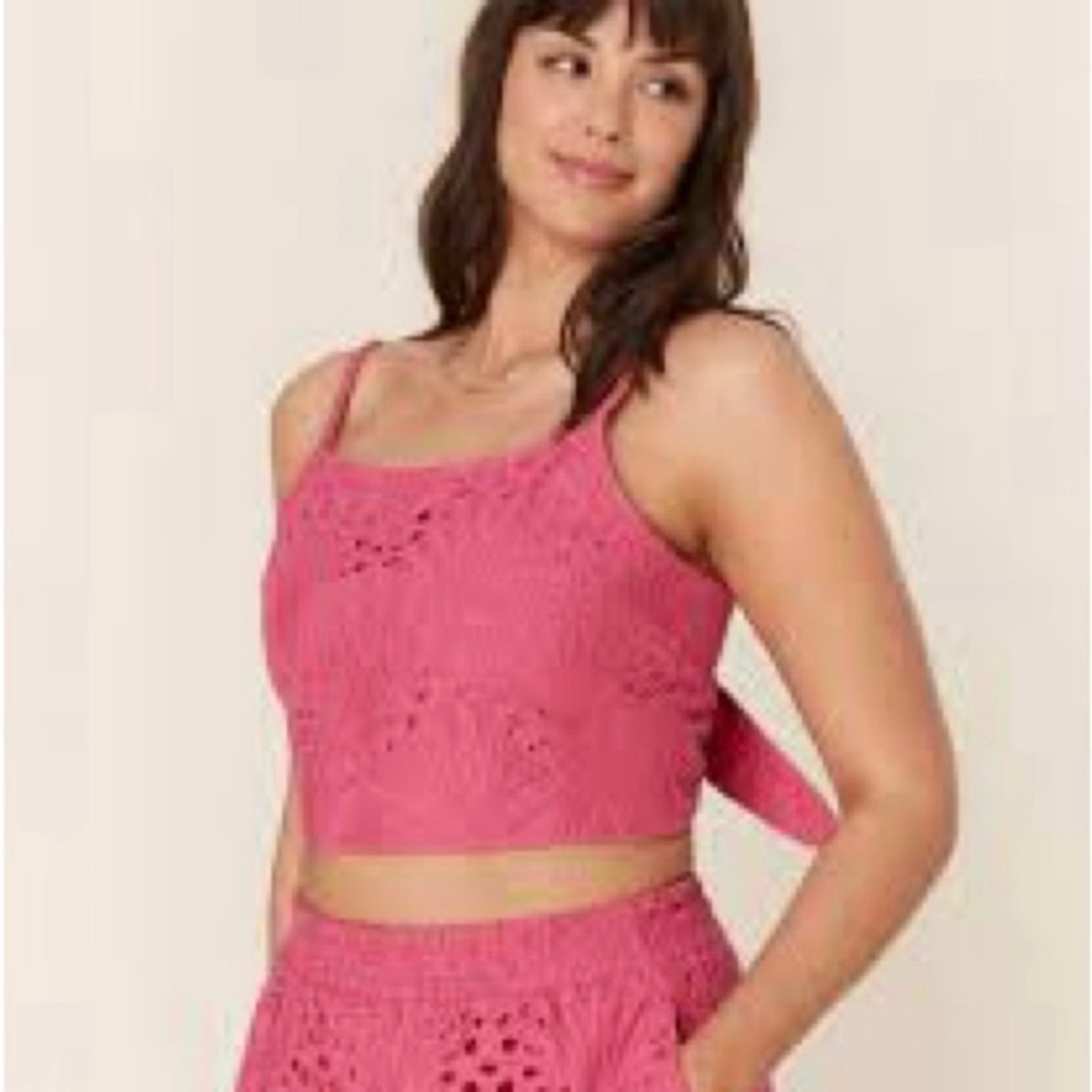 Andie Size XS Santiago Crop Top in Pink Eyelet Cotton NWT
